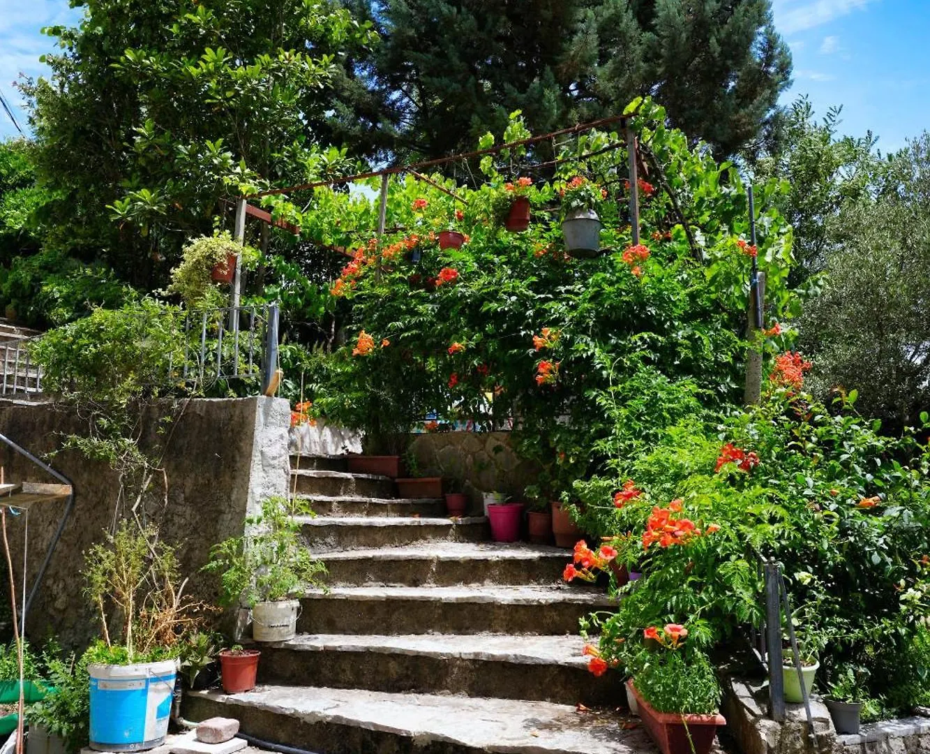 Vila Banushi Gjirokastër Apartmán