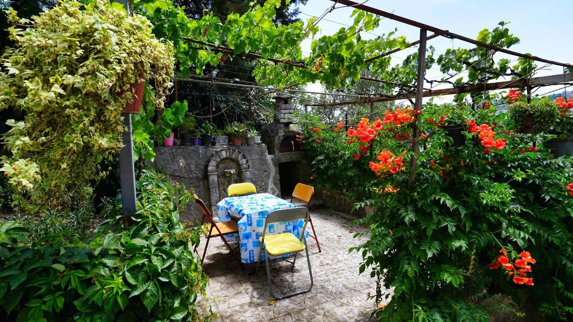 Vila Banushi Gjirokaster